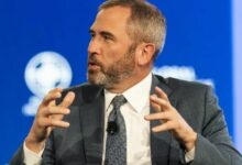 رئيس ريبل ينتقد معارضة وول ستريت لمنح الحسابات الرئيسية للعملات الرقمية