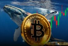 حوت عملات رقمية يحقق 759% ربحاً من $PING في أقل من يومين