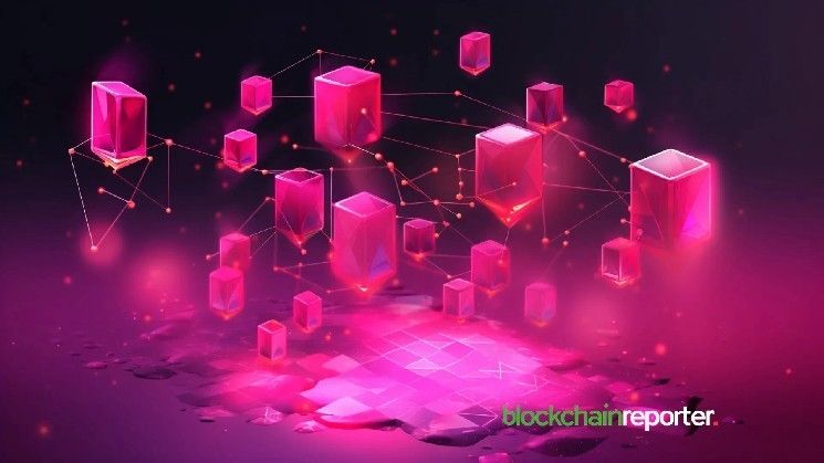 محفظة باك باك تدعم شبكة Aptوس لتوسيع نطاق وصولها لمستخدمي التطبيقات اللامركزية