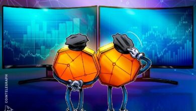 مجموعة私وية تحث أيرلندا على التخلي عن مشروع قانون "البوابات الخلفية" للتشفير