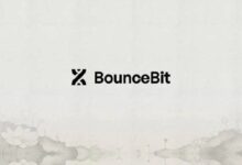 بونس بيت تطلق عملات BB كمعيار جديد لإعادة التسعير ومُضمّن العائد