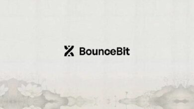 بونس بيت تطلق عملات BB كمعيار جديد لإعادة التسعير ومُضمّن العائد