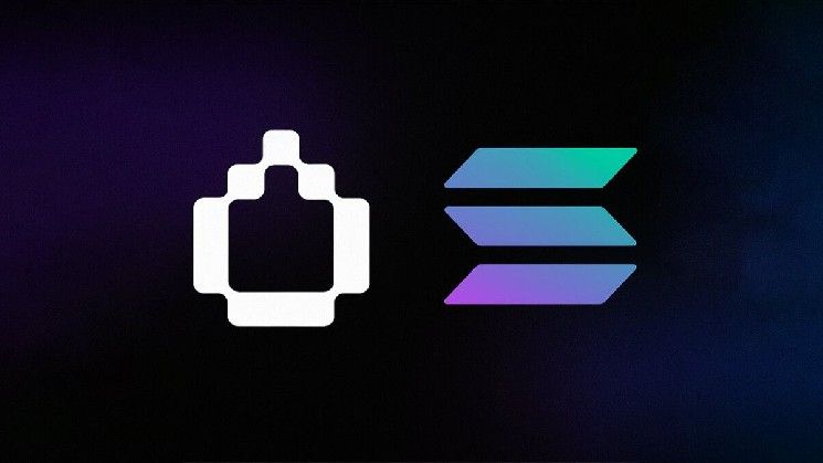 هميدي فاي تطلق توكن $WET الخاص بها عبر المنصة الجديدة لـ Jupiter