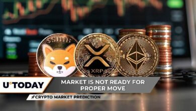 توقعات سوق العملات الرقمية: هل تشهد شيبا إينو (SHIB) فرصتها الأخيرة عند 0.000012 دولار؟ بينما تحجب مؤشرات صاروخية لـ XRP ويتوجب نسيان توقع إيثيريوم (ETH) عند 5000 دولار