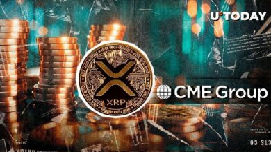 مجموعة CME تتقدم على Binance بصورة كبيرة في عقود XRP الآجلة