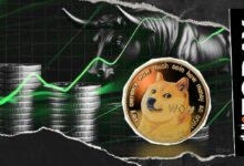 انهيار عملة Dogecoin: 179,110% اختلال غير مسبوق في السيولة يمحو المراكز البيعية