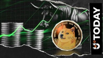 انهيار عملة Dogecoin: 179,110% اختلال غير مسبوق في السيولة يمحو المراكز البيعية