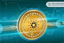كوينبيس تضاعف استثماراتها في كاردانو مع ارتفاع احتياطي ADA بنسبة 462% خلال أشهر