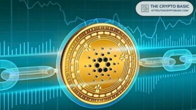 كوينبيس تضاعف استثماراتها في كاردانو مع ارتفاع احتياطي ADA بنسبة 462% خلال أشهر