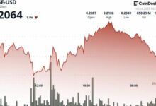 دوجكوين (DOGE) يواجه رفضًا عند 0.22 دولار مع استعداد خزينة العملة للطرح العام