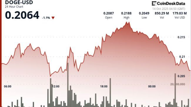 دوجكوين (DOGE) يواجه رفضًا عند 0.22 دولار مع استعداد خزينة العملة للطرح العام