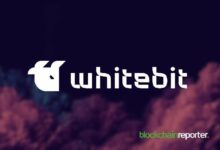 التداول المنظم بأوامر الحد المتعدد: أوامر براكيت والحسابات الفرعية من WhiteBIT في الميدان