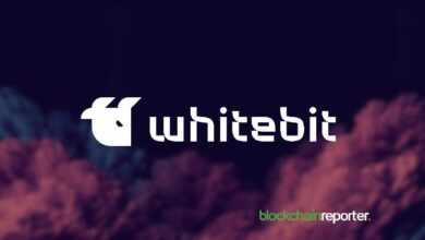 التداول المنظم بأوامر الحد المتعدد: أوامر براكيت والحسابات الفرعية من WhiteBIT في الميدان
