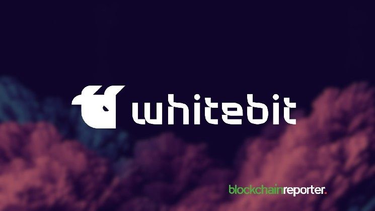 التداول المنظم بأوامر الحد المتعدد: أوامر براكيت والحسابات الفرعية من WhiteBIT في الميدان