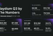 تقرير حاملي رموز Raydium للربع الثالث 2025: تحليل شامل وآفاق مستقبلية