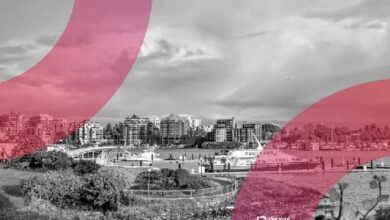 مُستخدِمة تتجاهل تحذيرات البورصة الكندية وتفقد أموالها في عملية احتيال رغم التنبيهات المتكررة