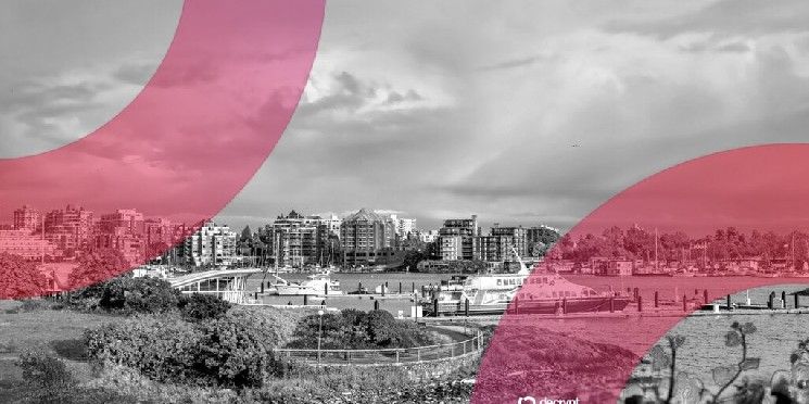 مُستخدِمة تتجاهل تحذيرات البورصة الكندية وتفقد أموالها في عملية احتيال رغم التنبيهات المتكررة