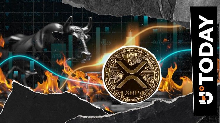 ارتفاع حرق XRP يرافق تعافي السعر في انتعاشة كبرى