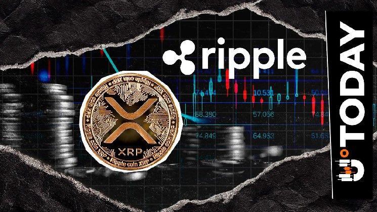 "XRP على وشك لمس كل شيء": محلل يعلق على آخر تطورات Ripple في عالم العملات الرقمية