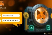 مخاوف من خطر تخزين مفاتيح المحافظ على السحابة الإلكترونية مع خاصية تسجيل الدخول بواسطة ميتاماسك وجوجل