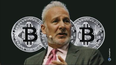 بيتر شيف: البيتكوين فشل في منافسة الدولار كملاذ من التضخم