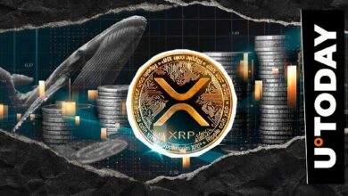 الحيتان تتخلص من XRP بوتيرة مذهلة