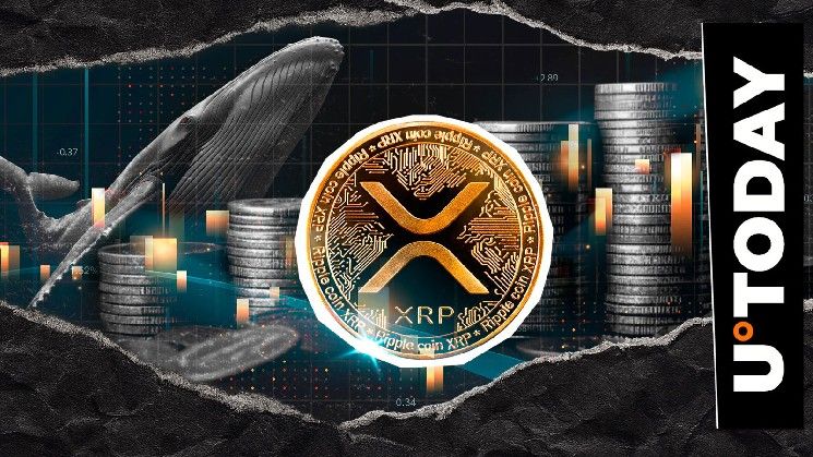 الحيتان تتخلص من XRP بوتيرة مذهلة