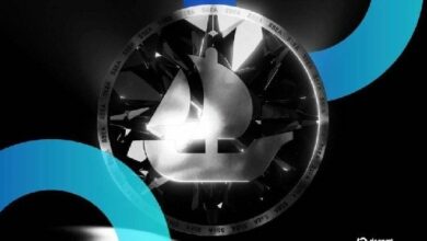 موعد إطلاق رمز SEA متوقع مع ارتفاع حجم تداول OpenSea