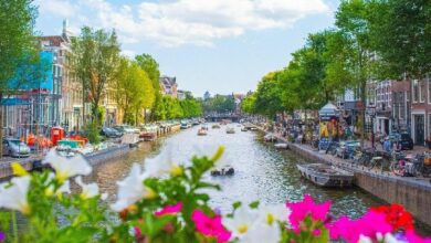 عملة مستقرة: بلازما تحصل على ترخيص VASP في أمستردام