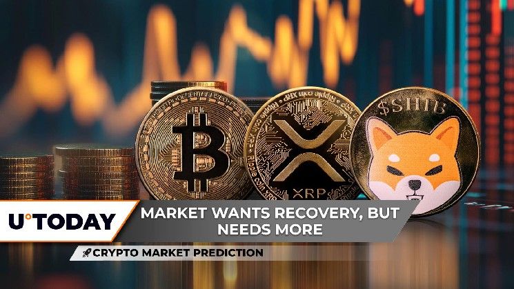 توقعات سوق العملات الرقمية: هل يشهد الريبل (XRP) أعظم عودة في التاريخ؟ البيتكوين (BTC) يتجاوز 115,000 دولار بسهولة والشيبا إينو (SHIB) ترفض الإضافة بأصفار