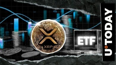 أول صندوق ETF أمريكي لعملة XRP يتجاوز 100 مليون دولار من الأصول الخاضعة للإدارة