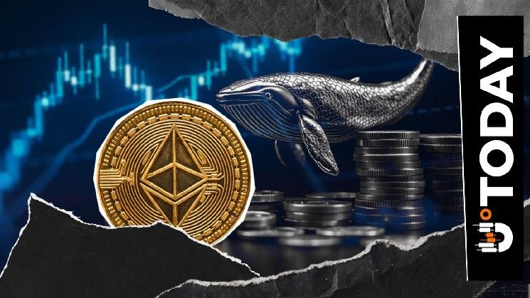 حوت إيثريوم يودع 2.89 مليار دولار في خطوة مفاجئة