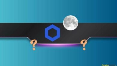 صعود LINK: هل يستطيع Chainlink اختراق مستوى 47 دولارًا قريبًا؟