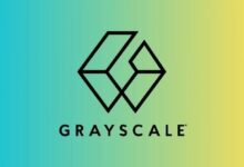 غرييسكيل تفتح باب التstaking لمنتجات متعددة