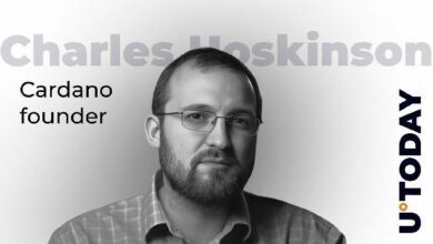 مؤسس كاردانو يحدد هدفًا جنونيًا لمعلم شبكي منتصف الليل