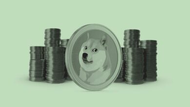 تذبذب صاروخي: دوجكوين تستعد لانطلاق تاريخي نحو 3 دولارات