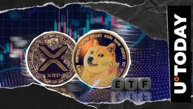 صناديق XRP و DOGE ETFs تقترب من معلم 500 مليون دولار لصندوق الاستثمار الأمريكي