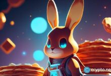 بان كيك سواب تنضم إلى تحالف أوندو فاينانس للأسواق العالمية