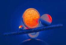 فالكون إكس: وسيط التشفير الأول يخطط لشراء مزود صناديق الاستثمار المتداولة 21 شيرز وفقاً لوول ستريت جورنال