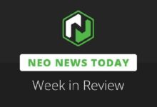 أخبار نيو: أبرز أحداث الأسبوع من 20 إلى 26 أكتوبر