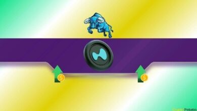 ارتفاع صاروخي لـ HYPE بنسبة 36% في أسبوع.. لكنّ الزخم يقترب من مفترق طرق