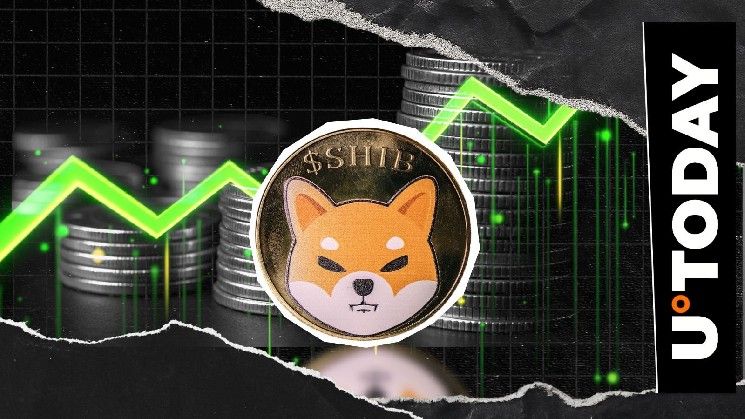 154.4 مليار SHIB تعيد الأمل مع انخفاض صافي التدفق 21%