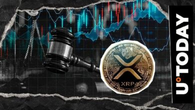 محامٍ مؤيد للعملات الرقمية يؤكد إمكانية استخدام XRP في المدفوعات