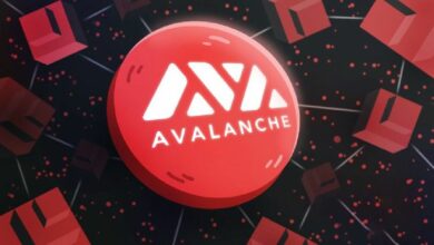 مؤسس Avalanche يكشف سر ازدهار السرعة والأمان معًا في البلوكشين