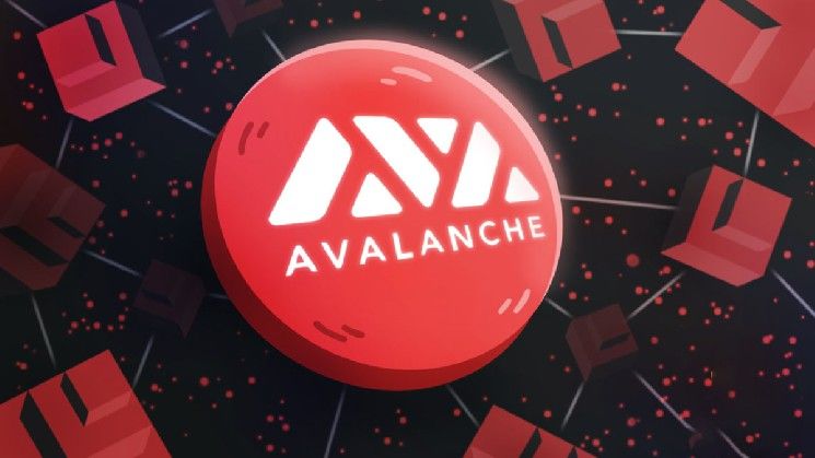 مؤسس Avalanche يكشف سر ازدهار السرعة والأمان معًا في البلوكشين