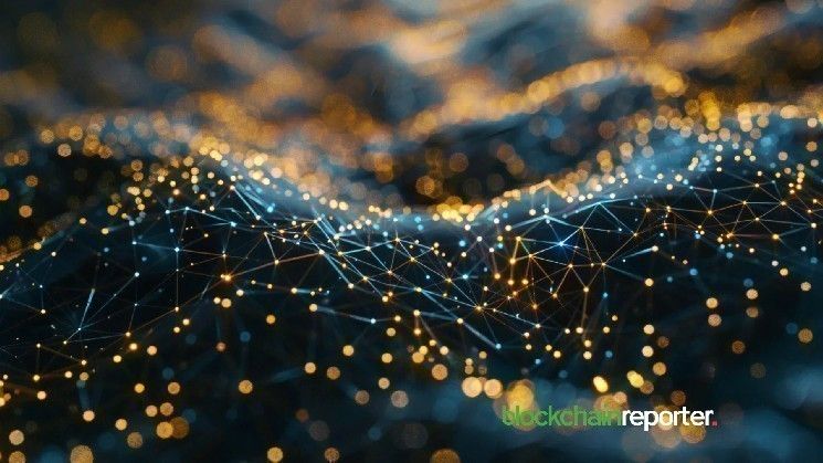 سونيك يطلق منصة Circle Gateway ويضيف عملة $USDC الأصلية مع سيولة متكاملة عبر السلاسل