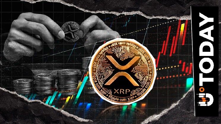 إقراض مدعوم بـ XRP ينطلق في ديسمبر: كل التفاصيل