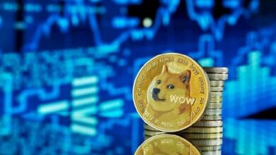 مستويات سعر الدوجكوين الأساسية المرتقبة مع استعداد DOGE للانتعاش