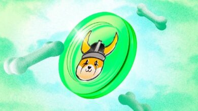 إطلاق FLOKI كمنتج متداول في البورصة الأوروبية يدفع قيمة العملة الميمية لتتجاوز مليار دولار