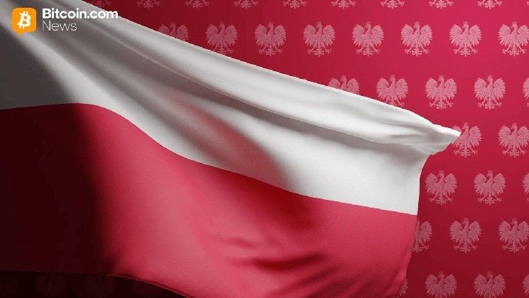 مدير "زونداكريبتو" يحذر: تشريع البتكوين في بولندا قد يخنق الابتكار